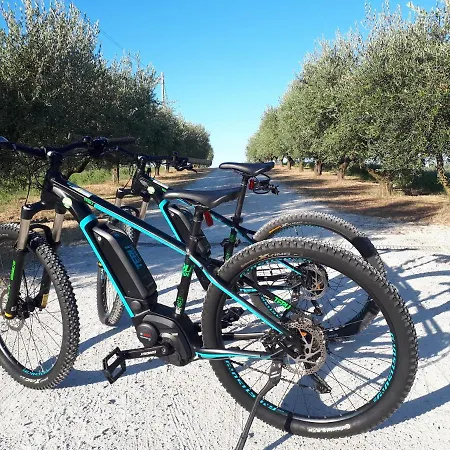 Paradisoincollina Ss Фермерский дом