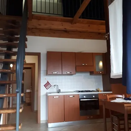 Paradisoincollina Ss