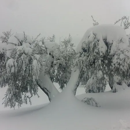 Paradisoincollina Ss Пезаро