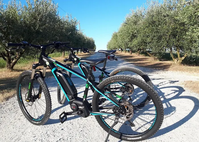 Paradisoincollina Ss Gospodarstwo agroturystyczne