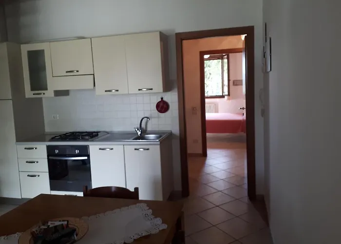 Paradisoincollina Ss * Pesaro