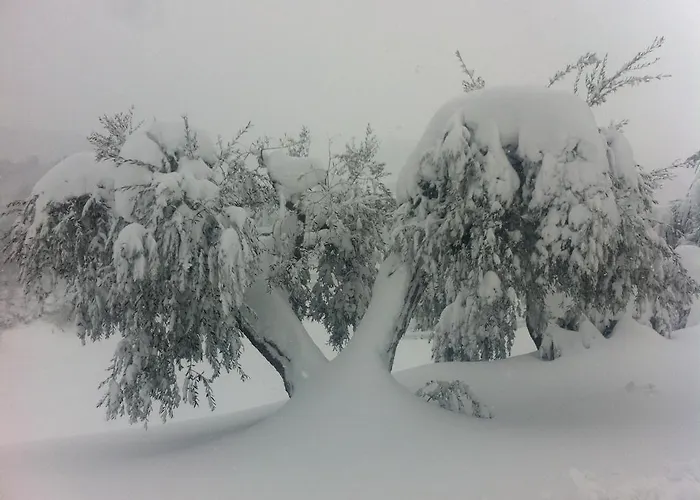 Paradisoincollina Ss Pesaro