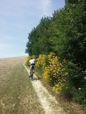 Paradisoincollina Ss Gospodarstwo agroturystyczne