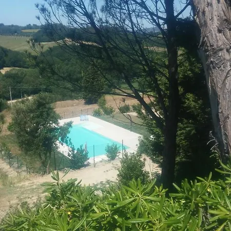 农家乐 Paradisoincollina Ss