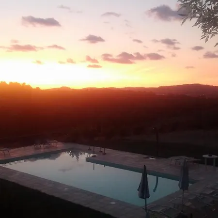 Paradisoincollina Ss