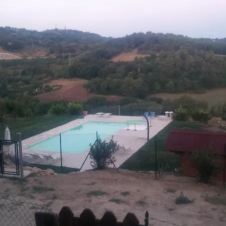 Paradisoincollina Ss *