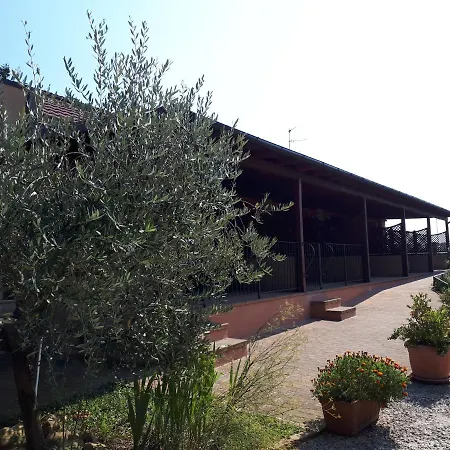 Paradisoincollina ss