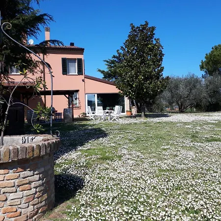 Paradisoincollina Ss 佩萨罗