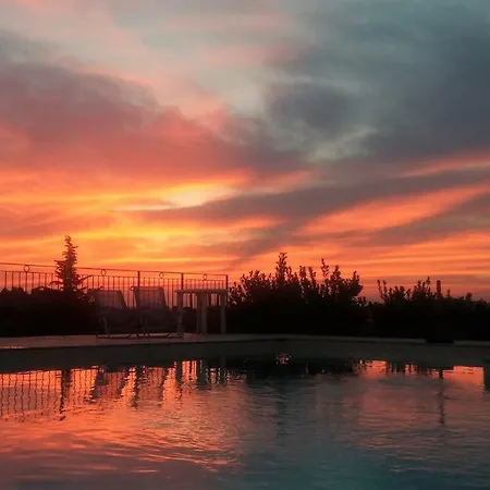 农家乐 Paradisoincollina Ss