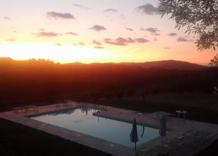 Paradisoincollina Ss