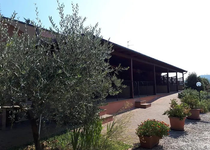 Paradisoincollina Ss