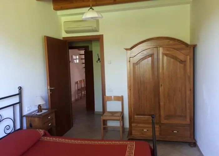 Paradisoincollina Ss