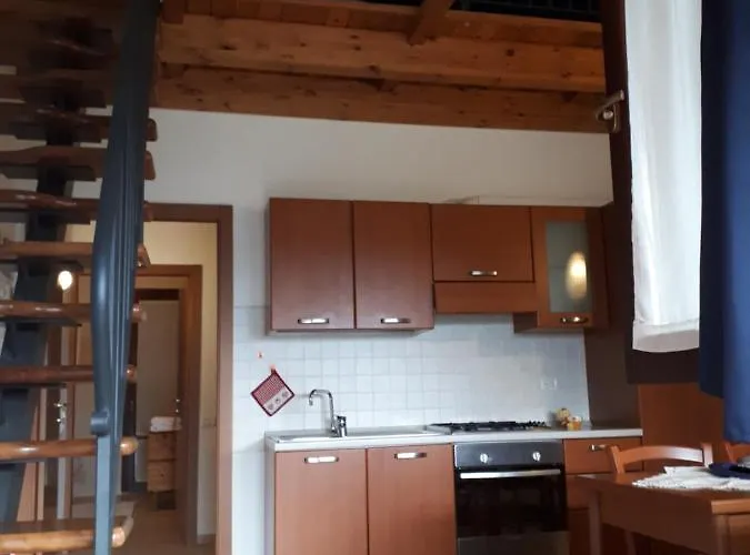 Paradisoincollina Ss